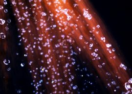 Easily Improve Circulation with a Shower