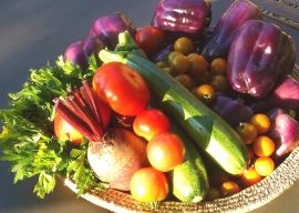 The Importance of Fiber for Cholesterol Levels