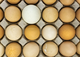 Are You Getting Low Quality Eggs?