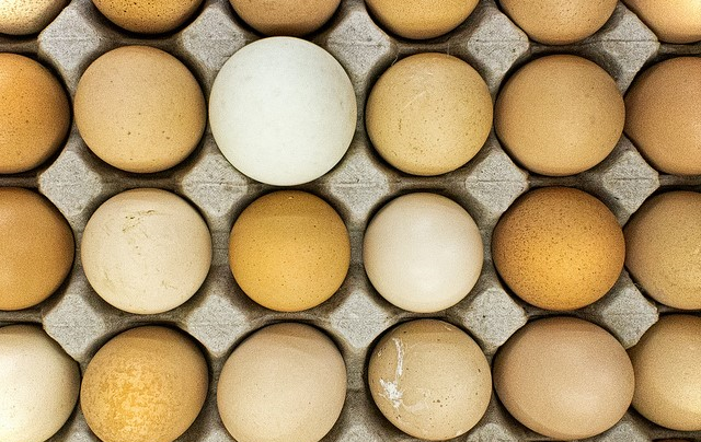 Are You Getting Low Quality Eggs?