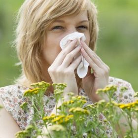 Natural Allergy Remedies