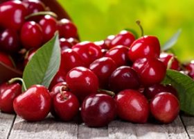 Nutrient of the Month – Tart Cherry