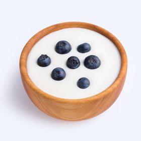 Nutrient of the Month – Probiotics