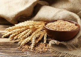 Can Gluten Cause Neuropathy?