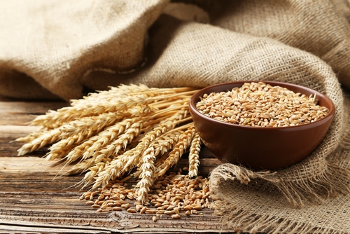 does gluten from wheat cause neuropathy