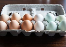 Eggs: Are they Bad for You? Eggs Myths Explained