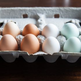 Eggs: Are they Bad for You? Eggs Myths Explained