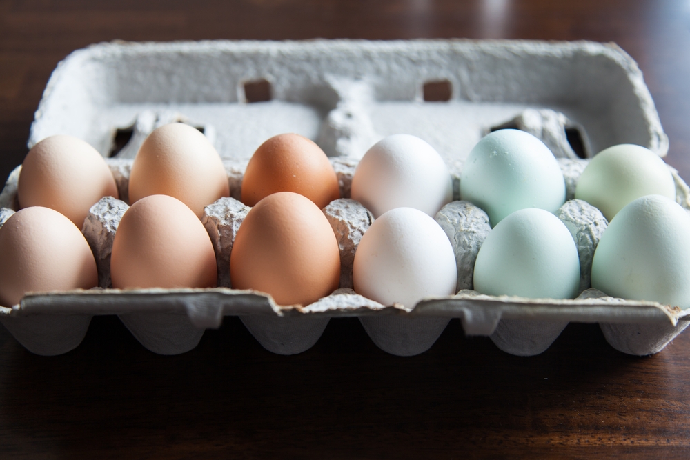 Eggs: Are they Bad for You? Eggs Myths Explained