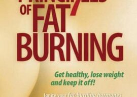 The 7 Principles of Fat Burning