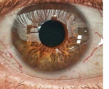 Eye Ball